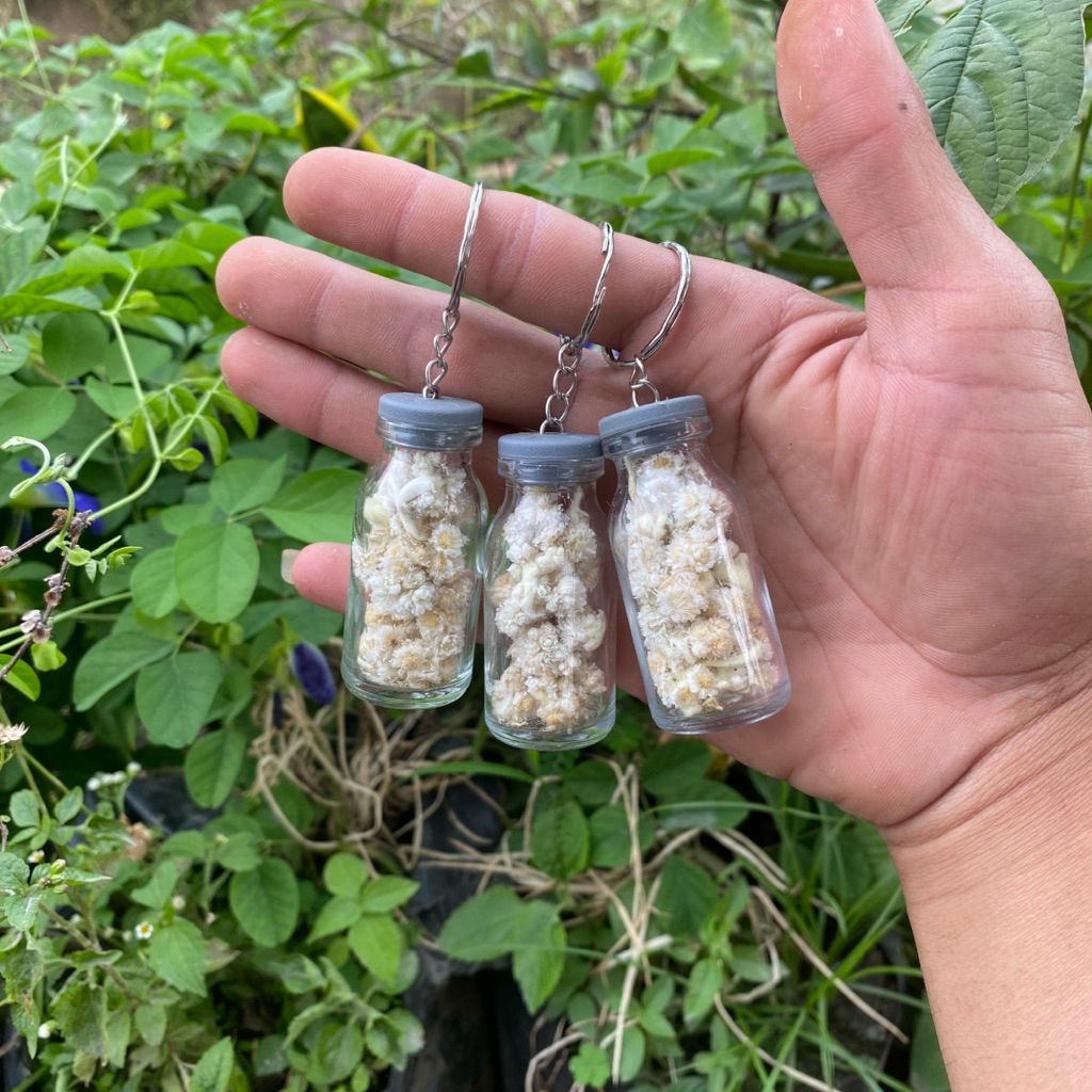 Gantungan Kunci Bunga Kering Edelweis  - Tali Goni, Botol Kaca, Souvenir Rustic