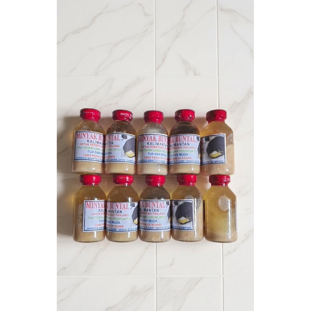 Minyak Buntal Kalimantan Asli 100%