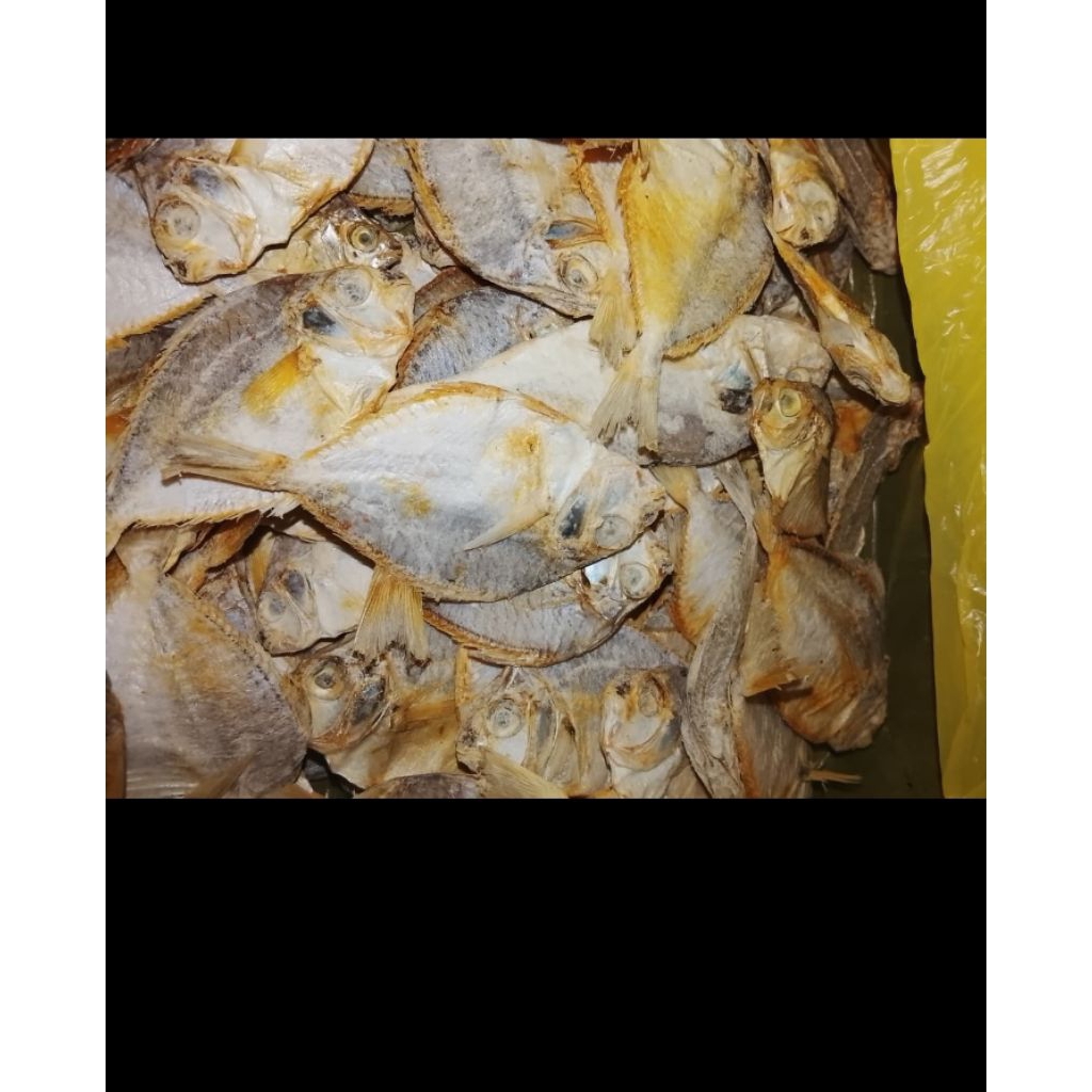 ikan dodok asin (gereh dodok) 1 kg
