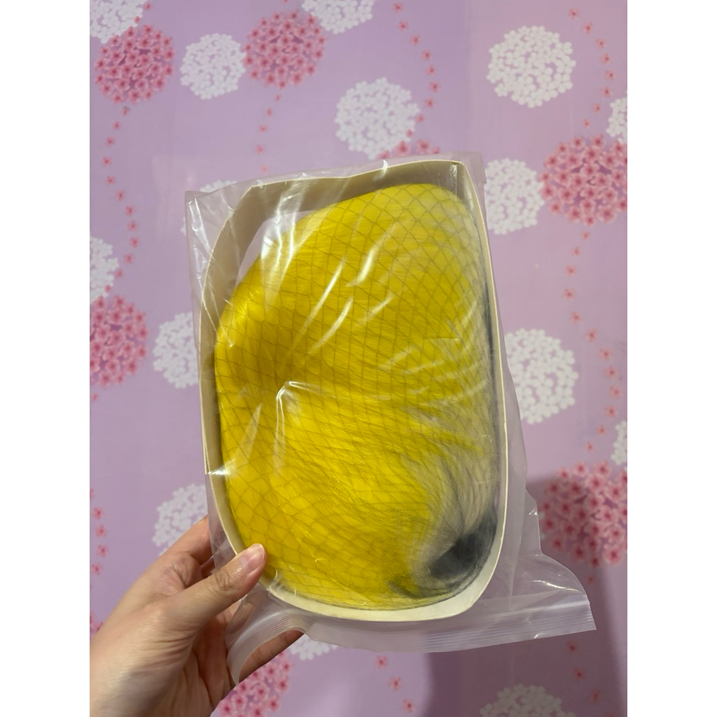 Sonny Brisko Wig Nijisanji EN