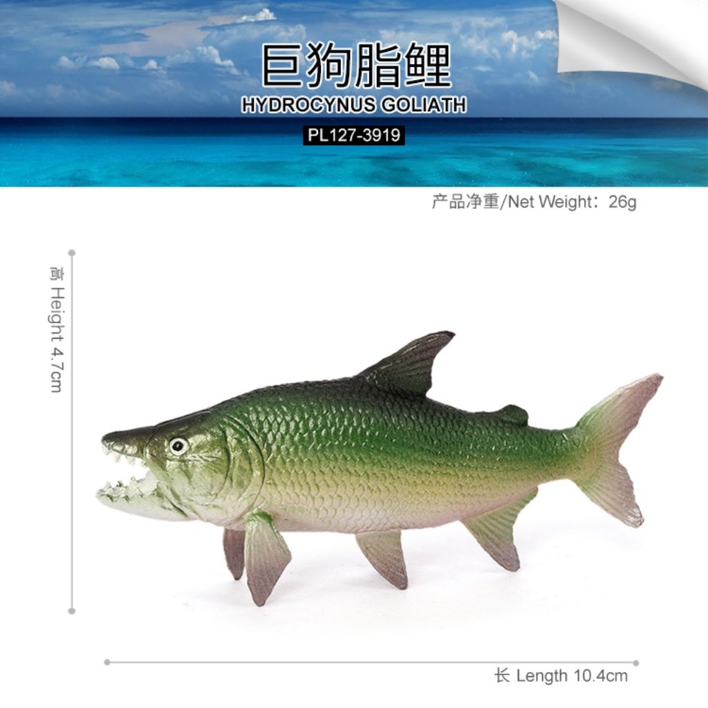 Mainan Goliath Tigerfish Hydrocynus Goliath Figure Ikan Predator Realistis Koleksi