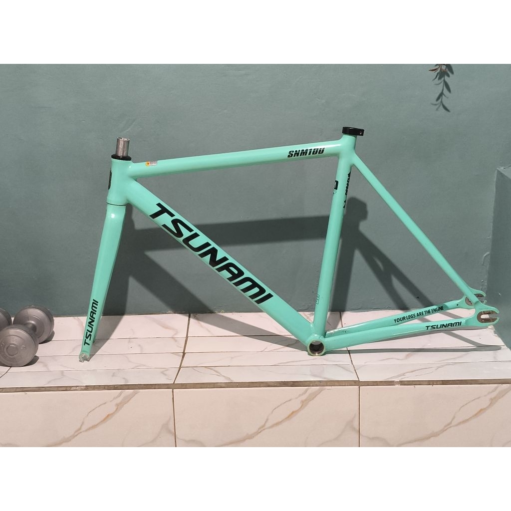 frameset tsunami snm100