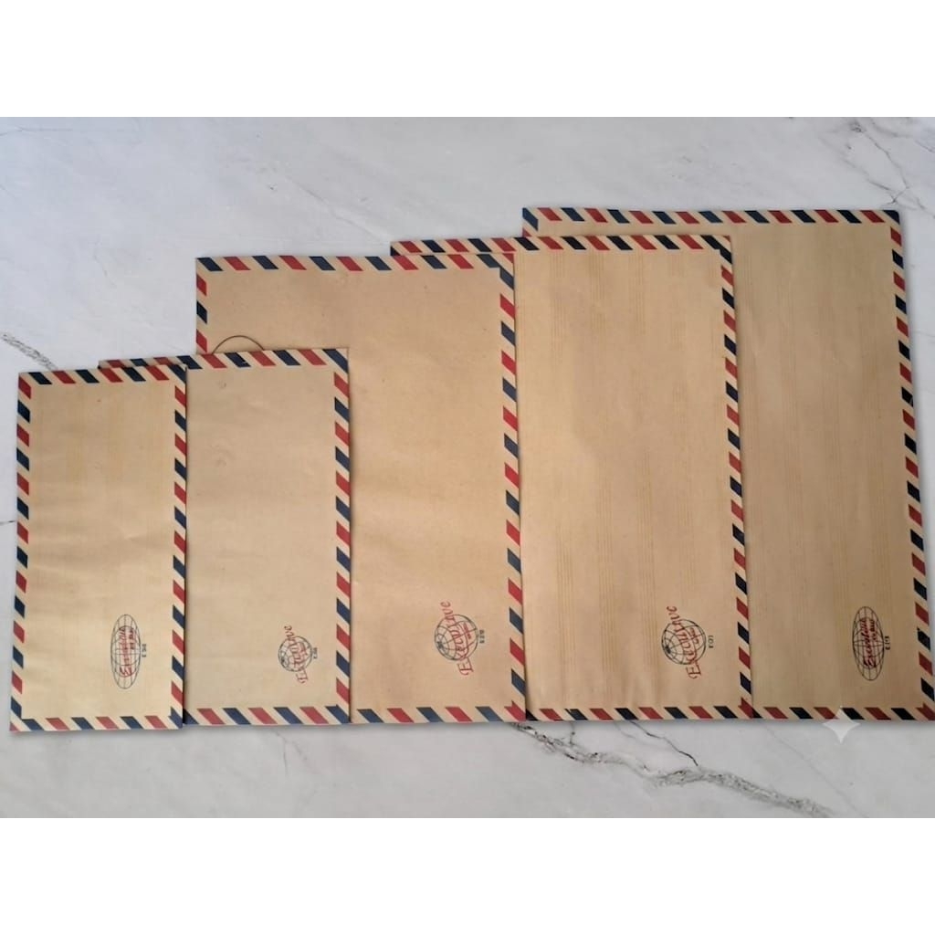( 1pak ) Executive map amplop coklat tali / amplop dokumen / amplop lamaran ukuran 304, 308, 310, 31