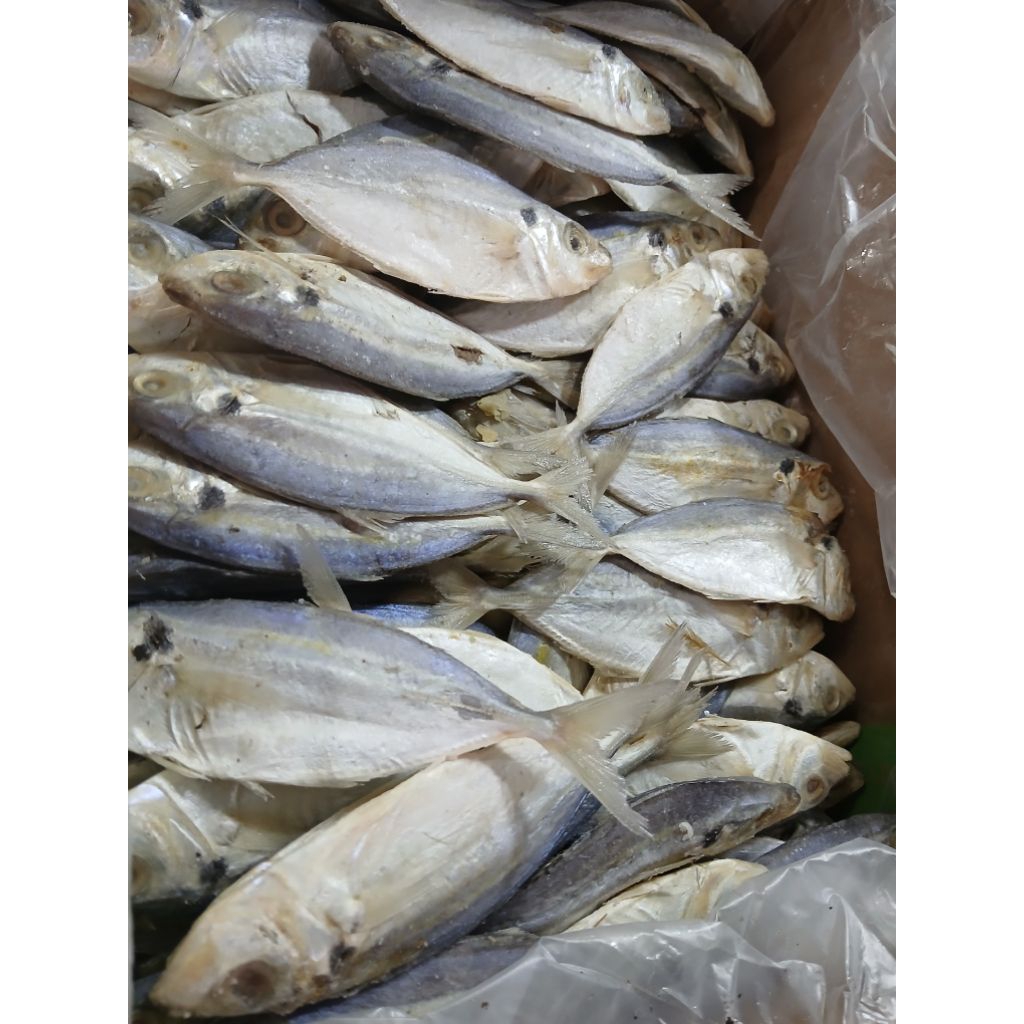 ikan asin ikan selar
