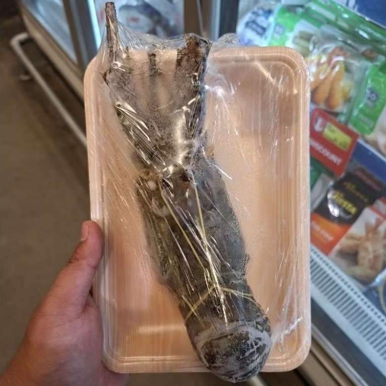 ikan lobster frozen / pcs