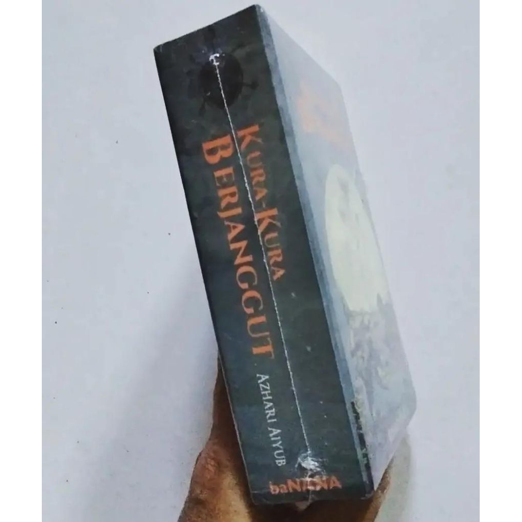 novel kura kura berjanggut