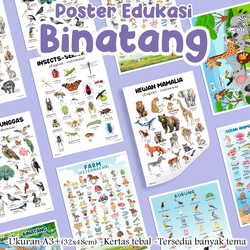 Poster Edukasi HEWAN, Poster hewan darat, poster hewan laut, poster binatang