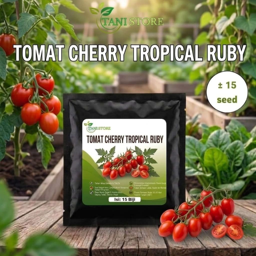 bibit benih tomat cherry tropical ruby unggul berkualitas_bibit tomat cherry