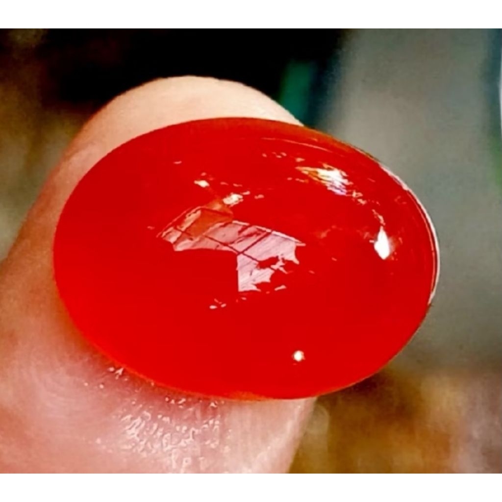 Red Obi bacan obi merah size kantoran