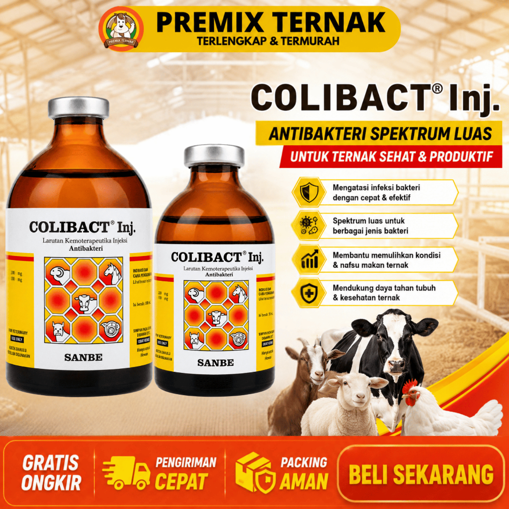 COLIBACT INJ 50ML COLIBACT INJ 100ML SANBE - Obat Hewan Antibakteri Pencernaan Ternak Sapi Kambing