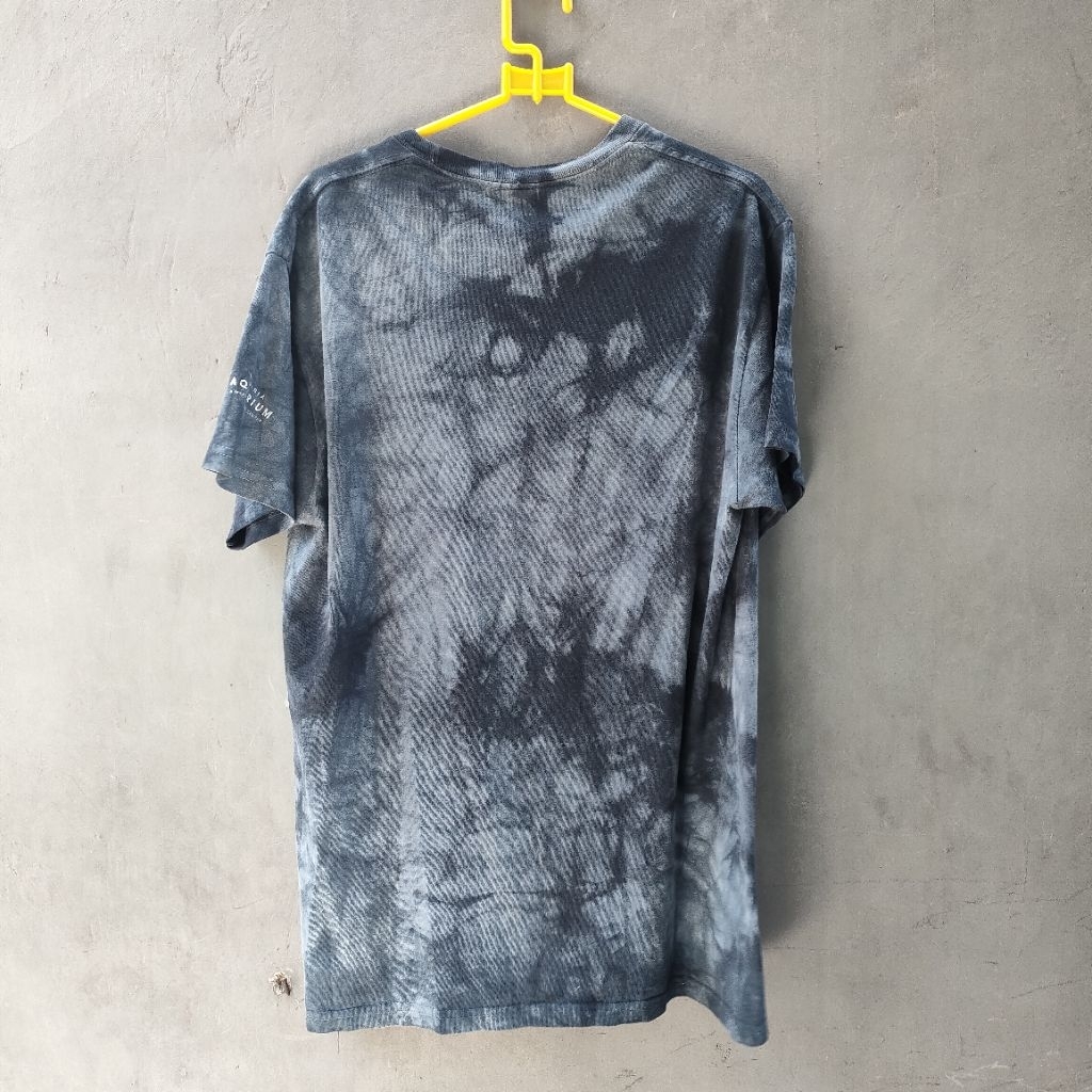 kaos the mountain jellyfish