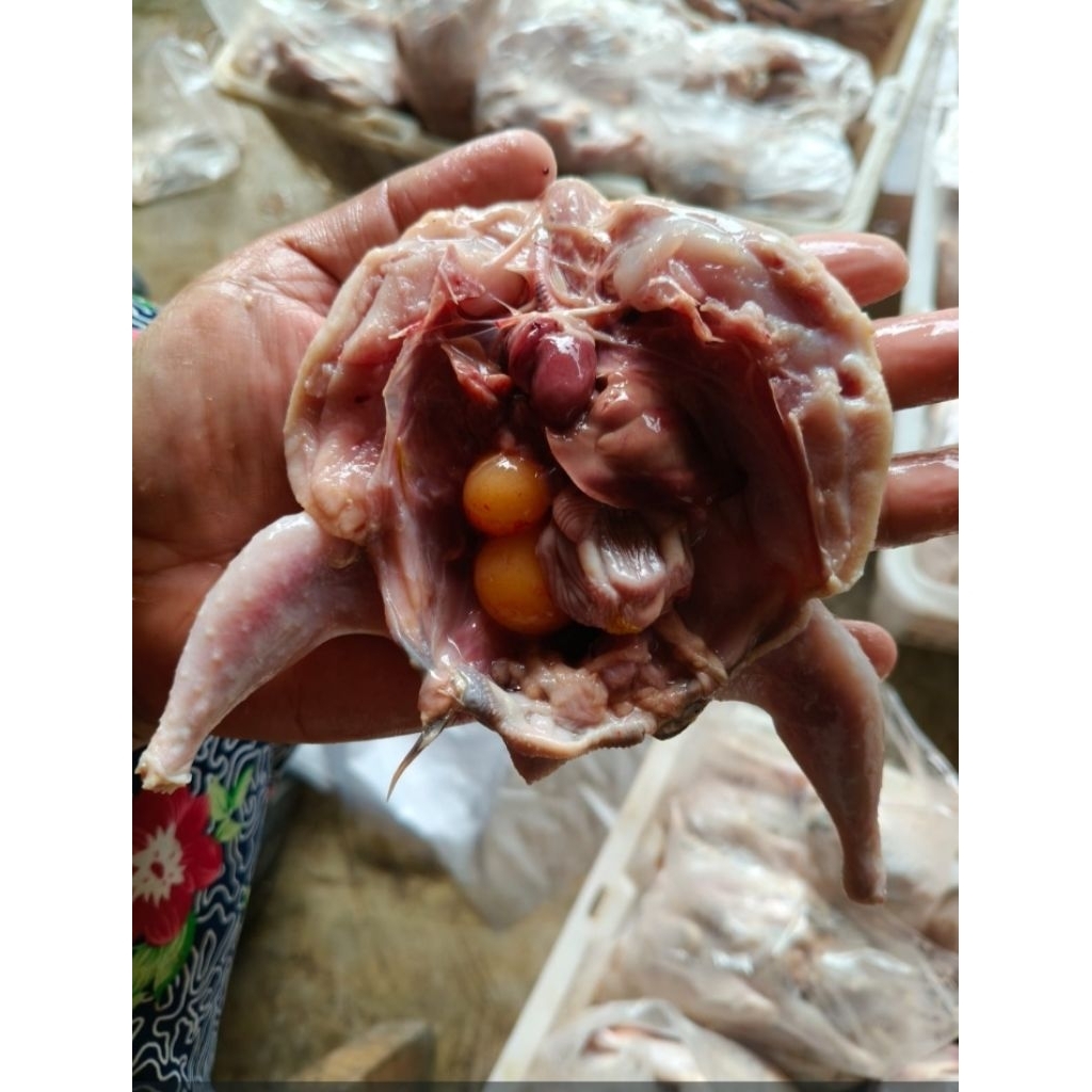daging puyuh karkas,.