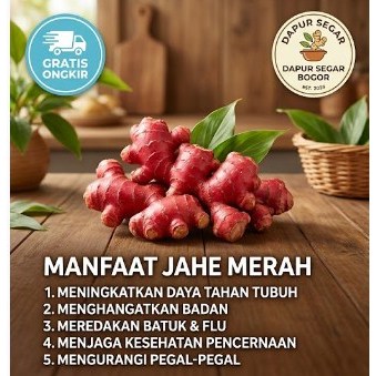 jahe merah 1kg  jahe merah segar jahe merah  jahe merah segar 1kg ahe merah 1 kg bibit jahe merah 1k