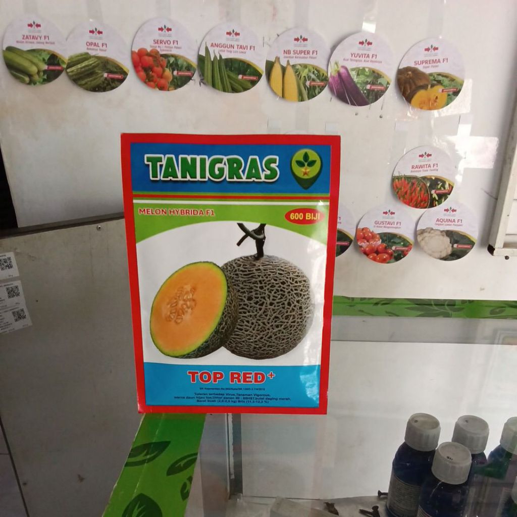 Benih Bibit Melon Orange Top Red PLUS F1, isi 600 Butir Kadaluarsa 2027 Terbaru - Benih Tanigras