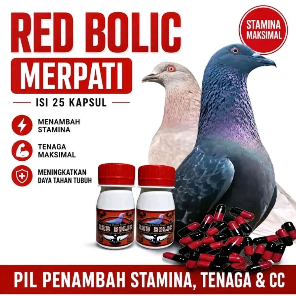 RED BOLIC ISI 100 BUTIR pil penambah cc kencang doping merpati terbang tinggi raja sprint extra jp s