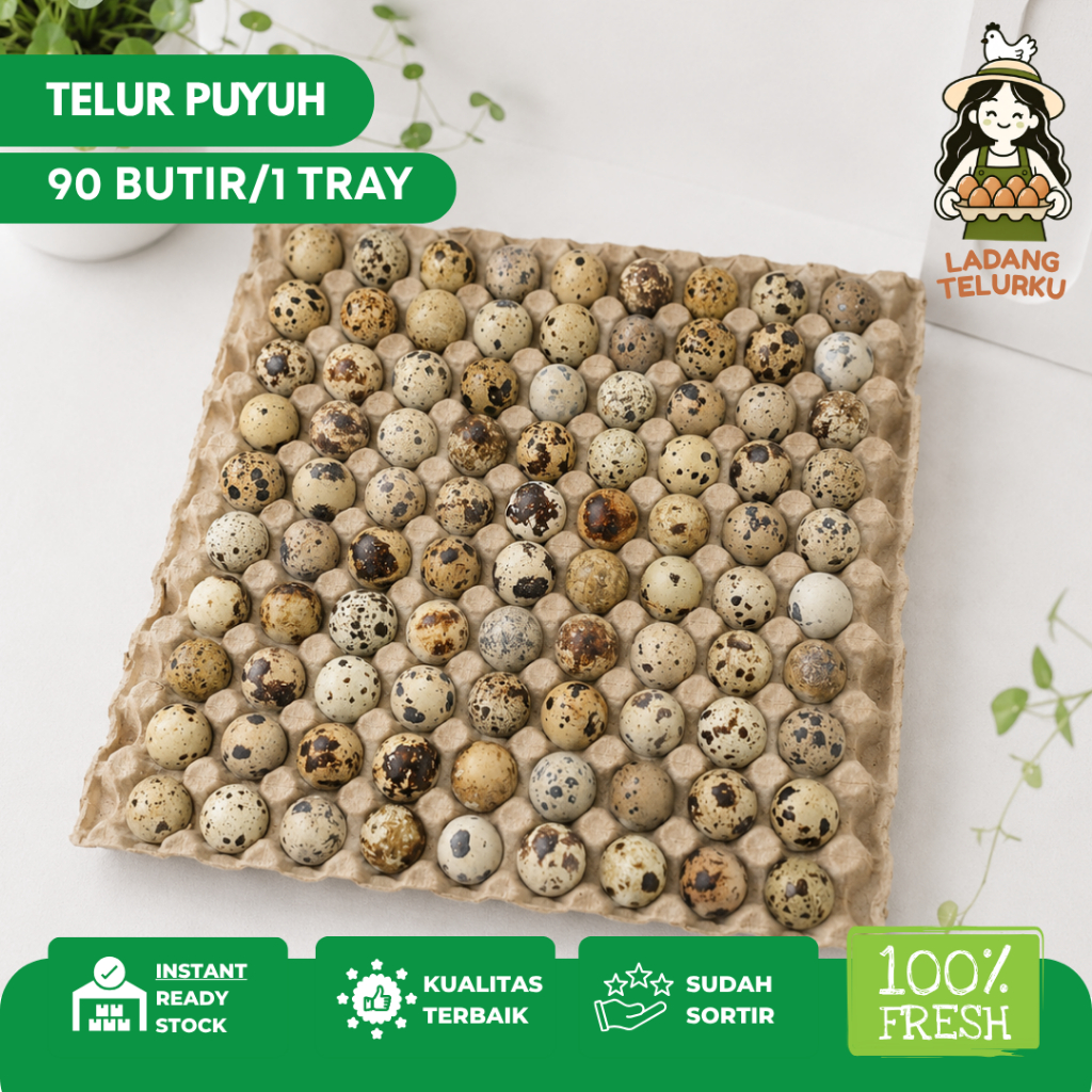[LADANG TELURKU] TELUR PUYUH 1 TRAY Fresh 90 BUTIR / 1 TRAY Murah Grosir