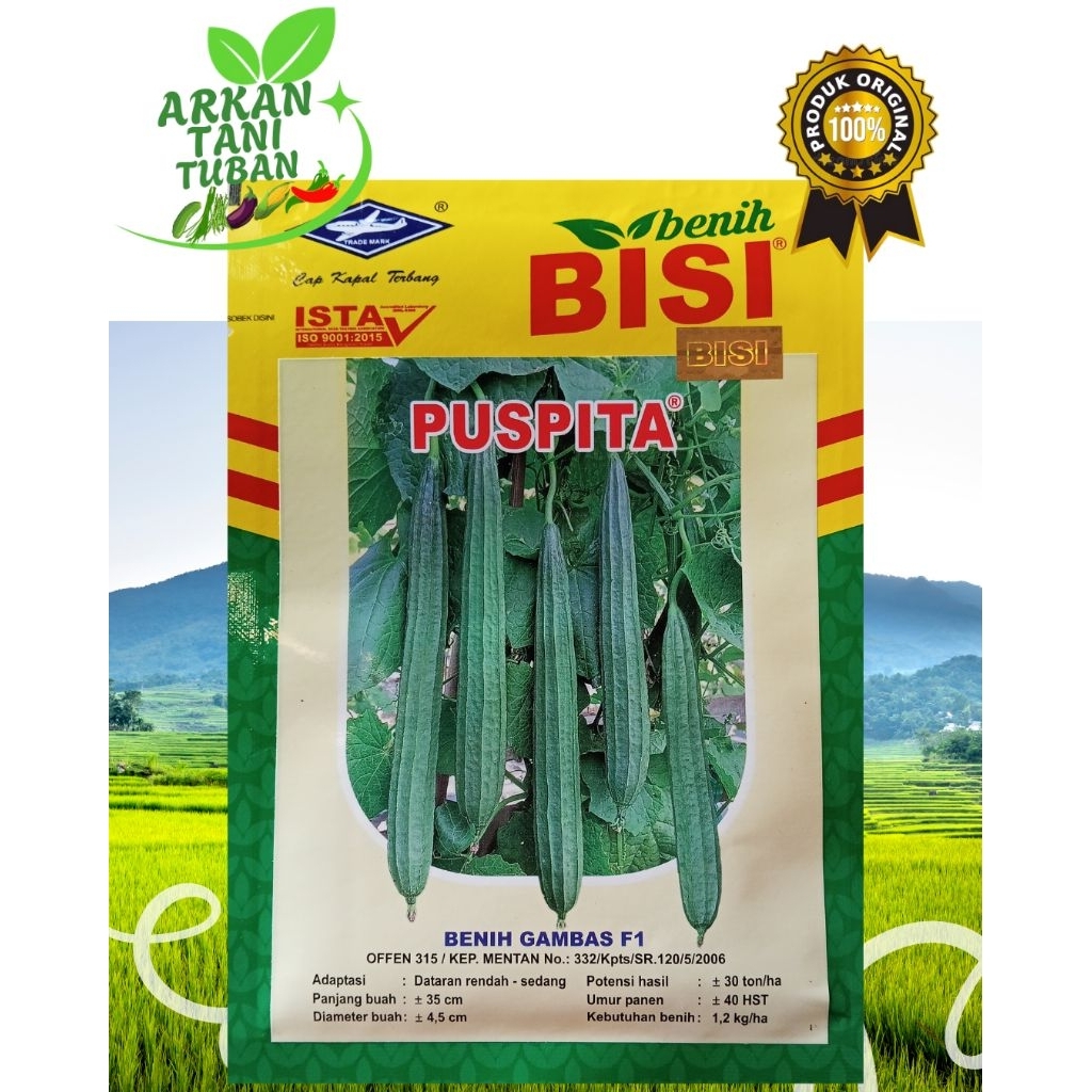 BENIH GAMBAS F1 PUSPITA 10 GRAM - BENIH BISI CAP KAPAL TERBANG