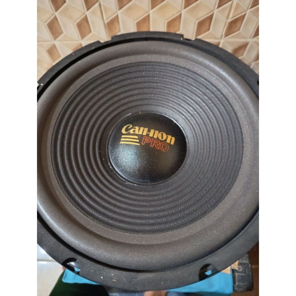 canon 10 wofer