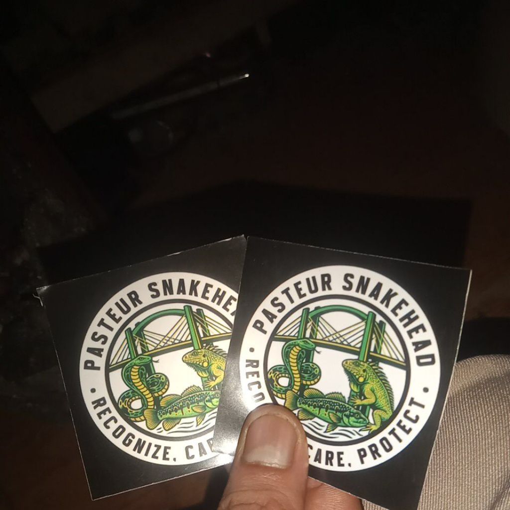Sticker ikan chana limbata cb