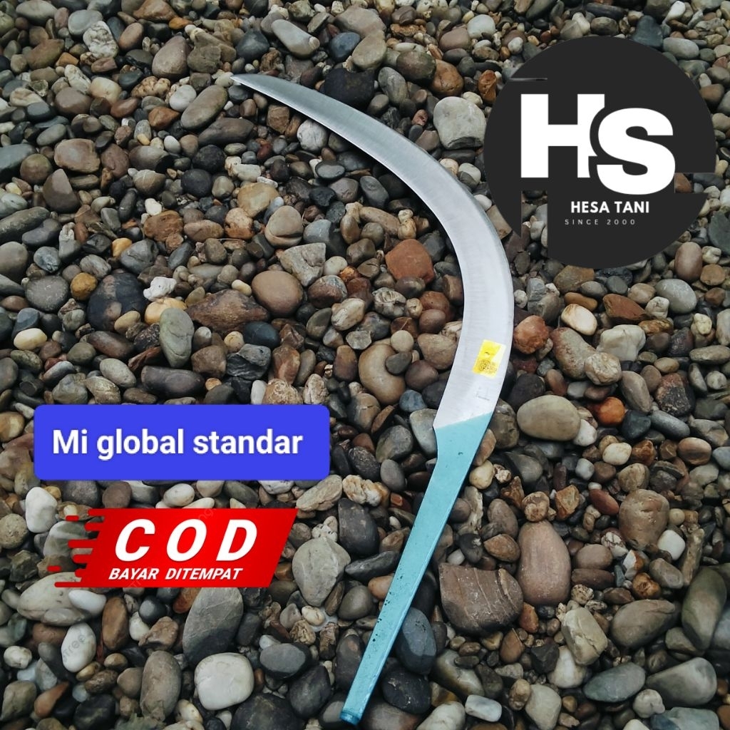 Egrek Mi Global