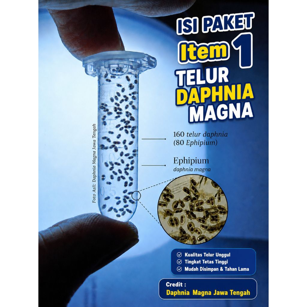TELUR DAPHNIA MAGNA