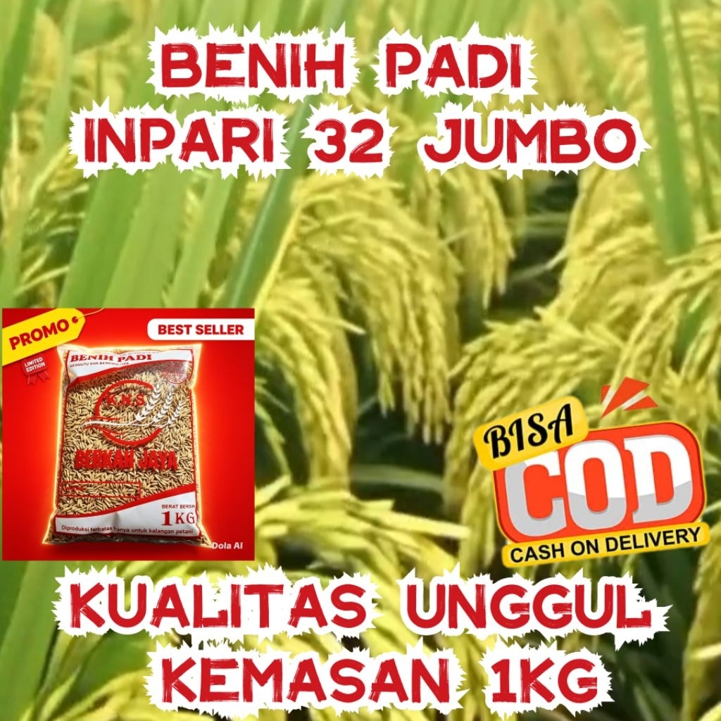 BIBIT BENIH PADI INPARI 32 JUMBO KUALITAS UNGGUL KEMASAN 1KG