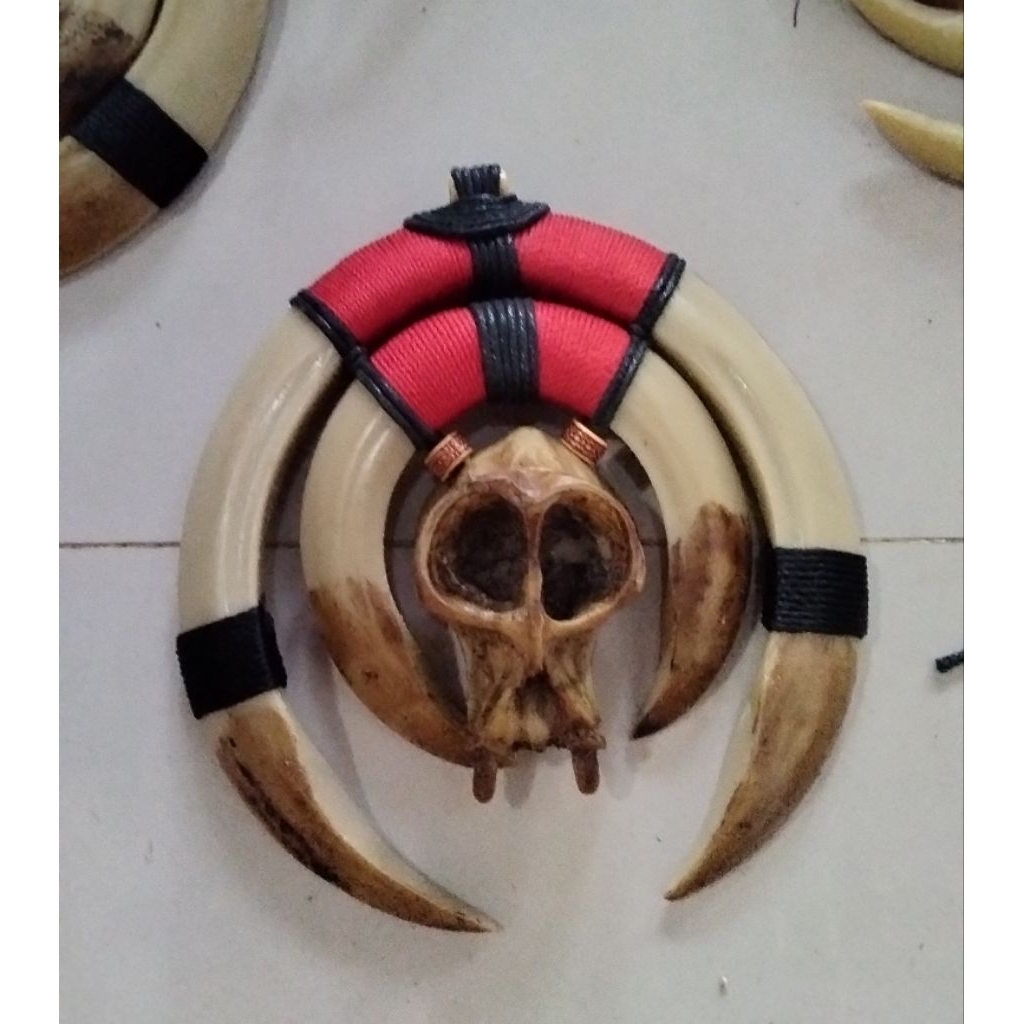 TARING BABI REPLIKA / TENGKORAK MONYET REPLIKA