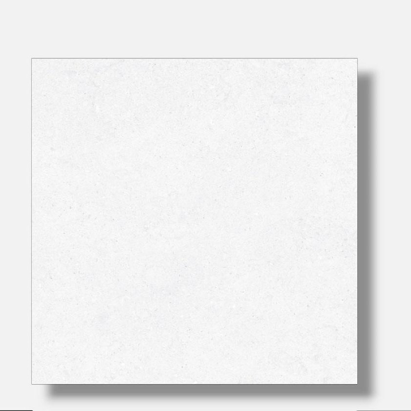 50X50 SYDNEY WHITE KW1 PLATINUM SALE GLOSSY