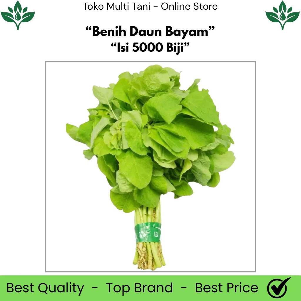 Benih Daun Bayam Isi 5000 Biji - Benih Bayam Hijau - Benih Bayam Daun Lebar - Benih Bayam - Benih Ba