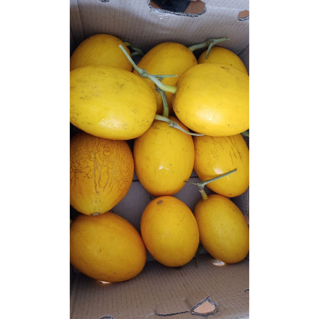 Melon Lavender Manis 1Kg