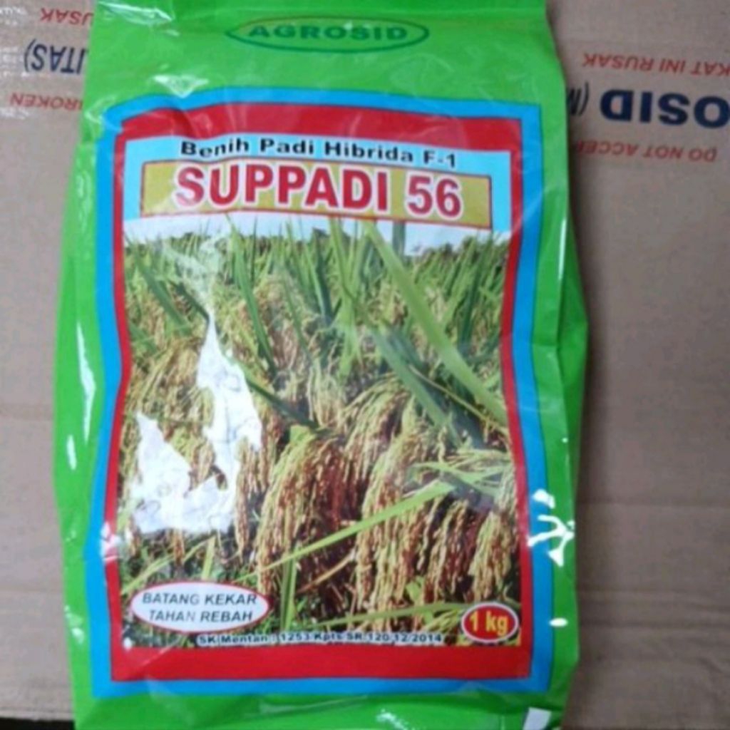Benih Tanaman Padi SUPPADI 56 AGROSID Original 100%