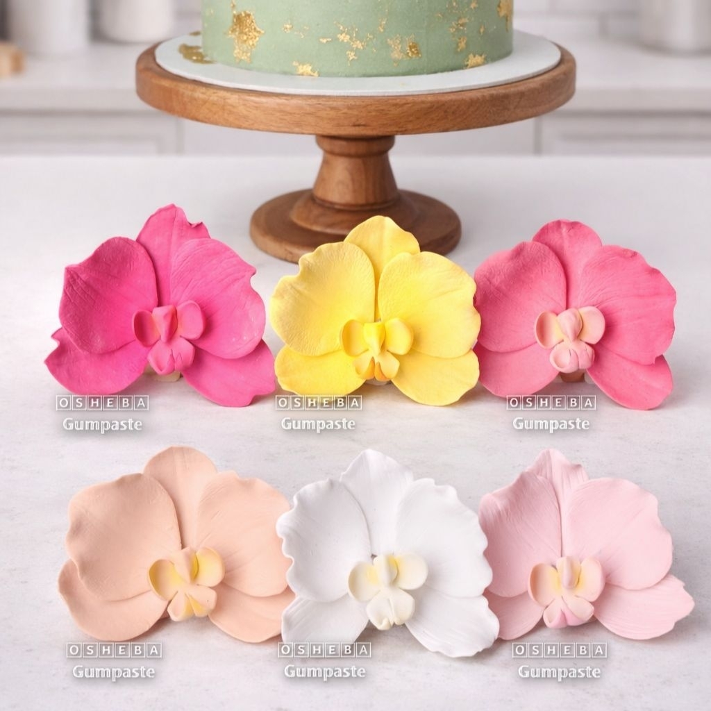 [osheba] gumpaste bunga bs anggrek bulan moth 11