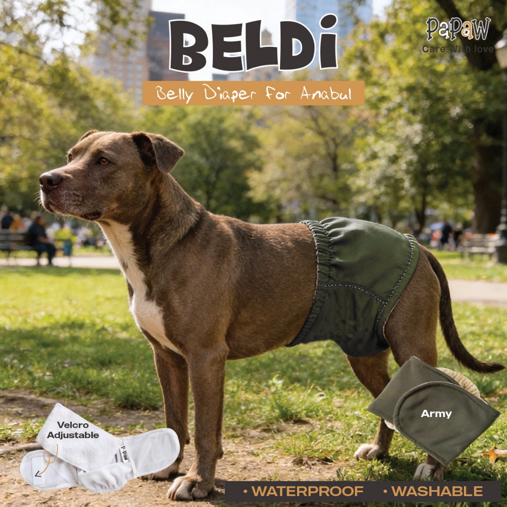 Manner Belt Popok Anjing Jantan Bisa Dicuci Washable dan Waterproof Pempers Diapers Kucing
