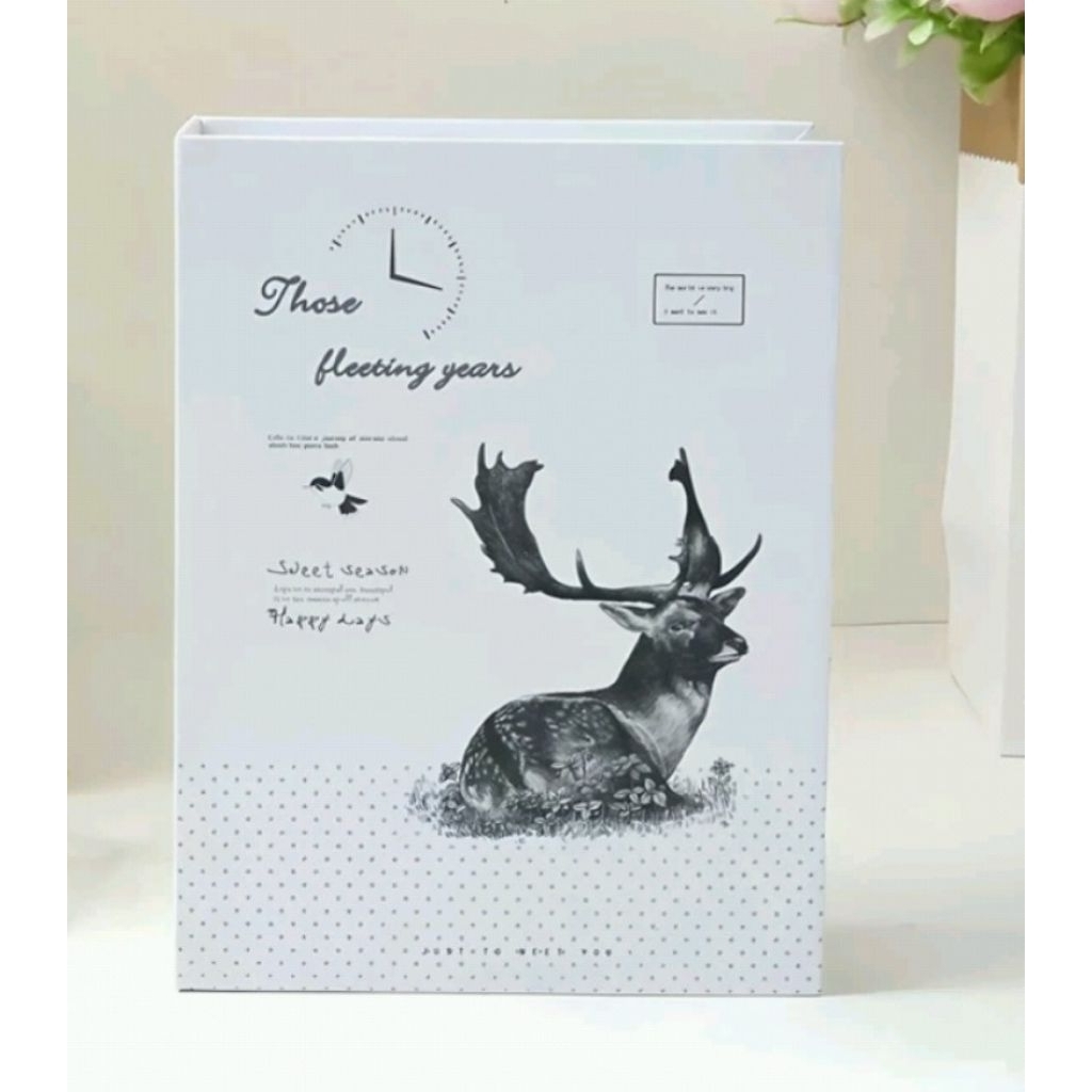 album foto 4r,  isi 100 slot