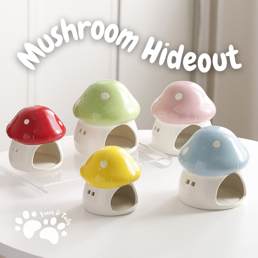 Rumah Hamster Keramik Mushroom Series V2 | Rumah Hamster Keramik | Hideout Ceramic Hamster