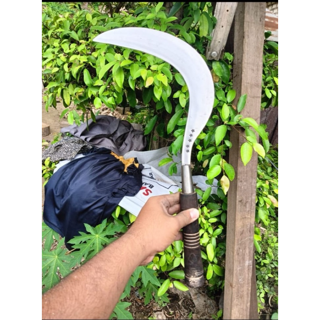 Arit rumput arit padi arit ramban madura cap bintang5 desain tebal dan tajam