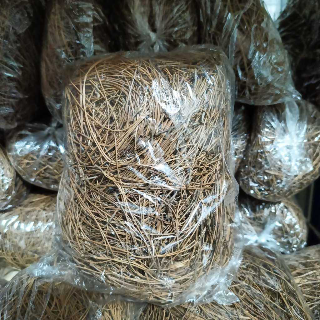 serat cemara sarang bertelur burung Harga per biji sarang susuhan murai batu jalak cucak ijo dan sar