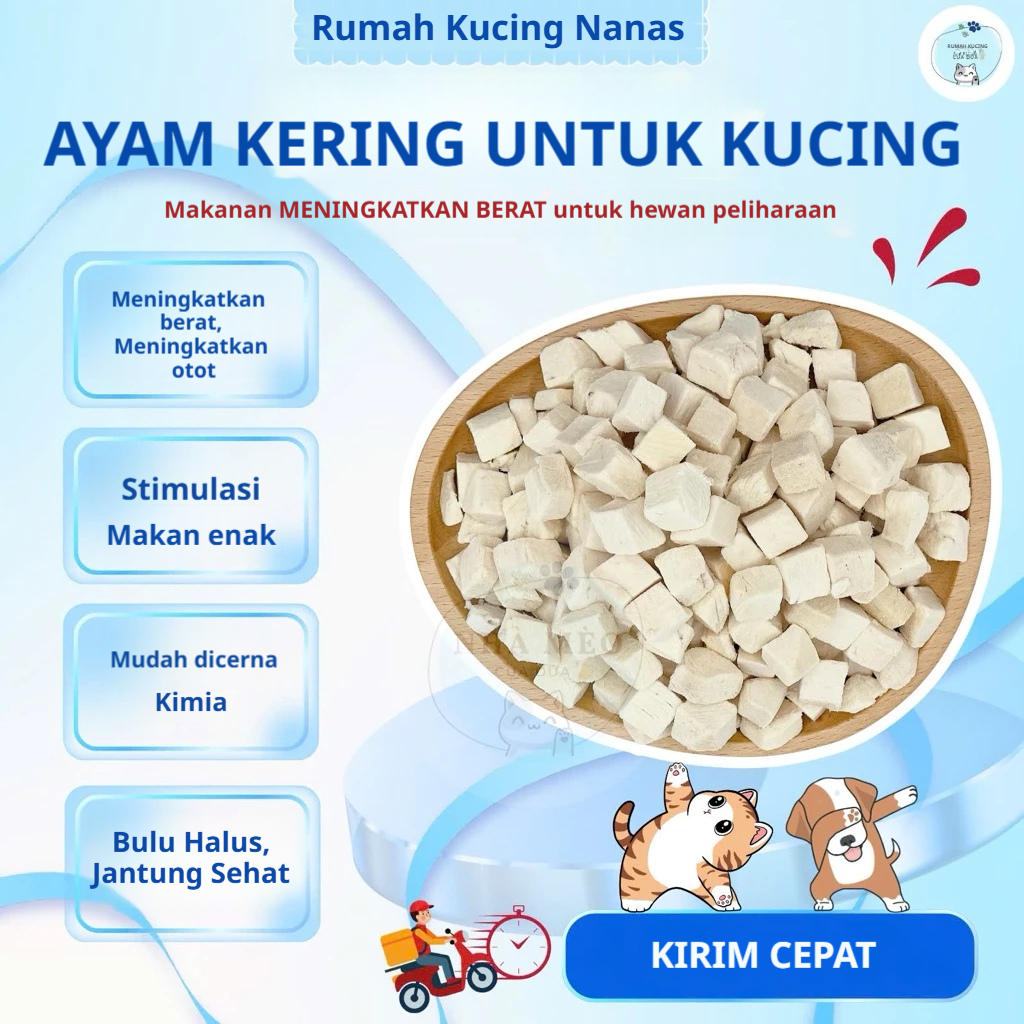 Snack Kucing 500g Freeze Dried Ayam Cemilan untuk Kucing dan Anjing Snack Kucing Cemilan Anjing Cemi