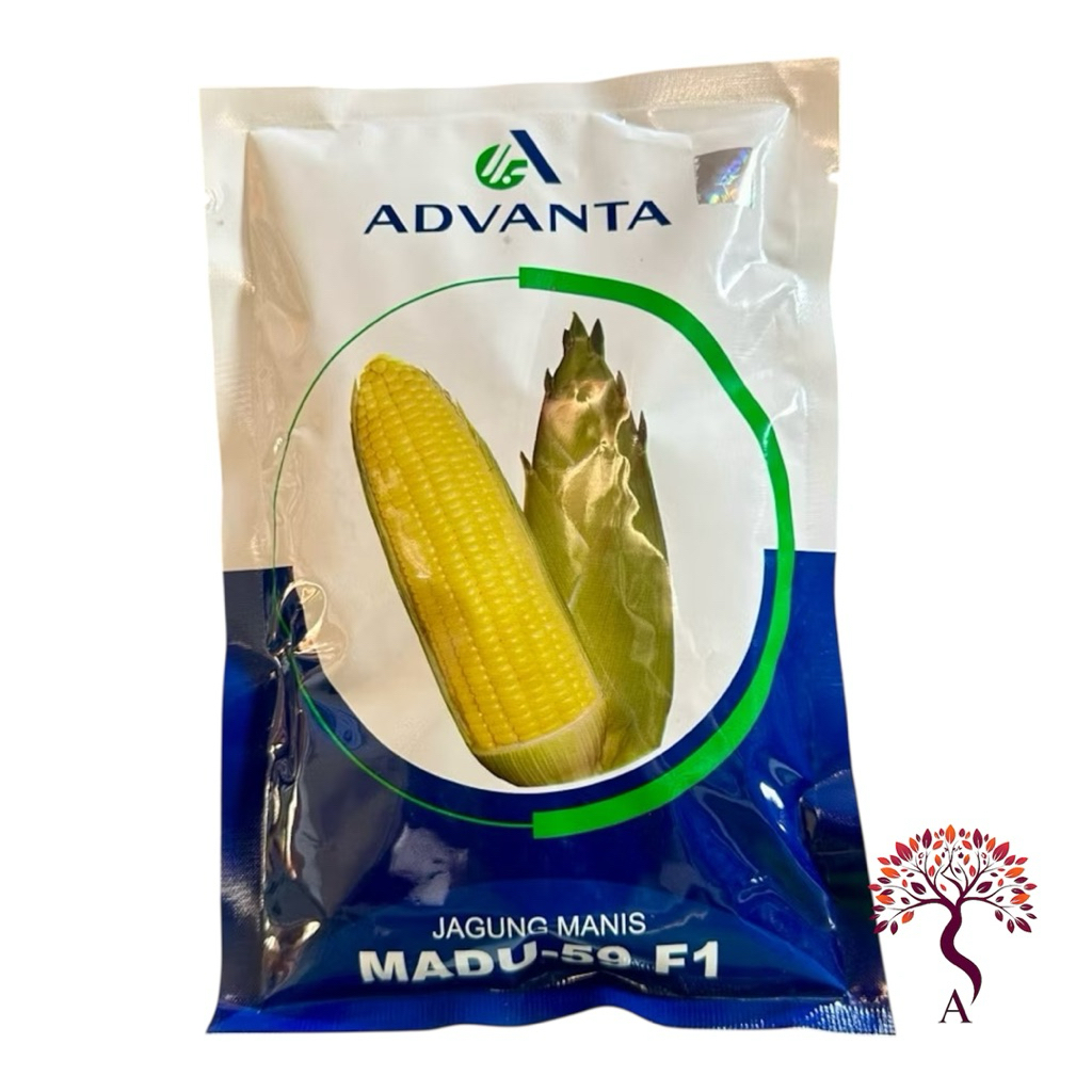 Benih Jagung Manis Madu 59 F1 250gr - Bibit Jagung Manis Hibrida Madu