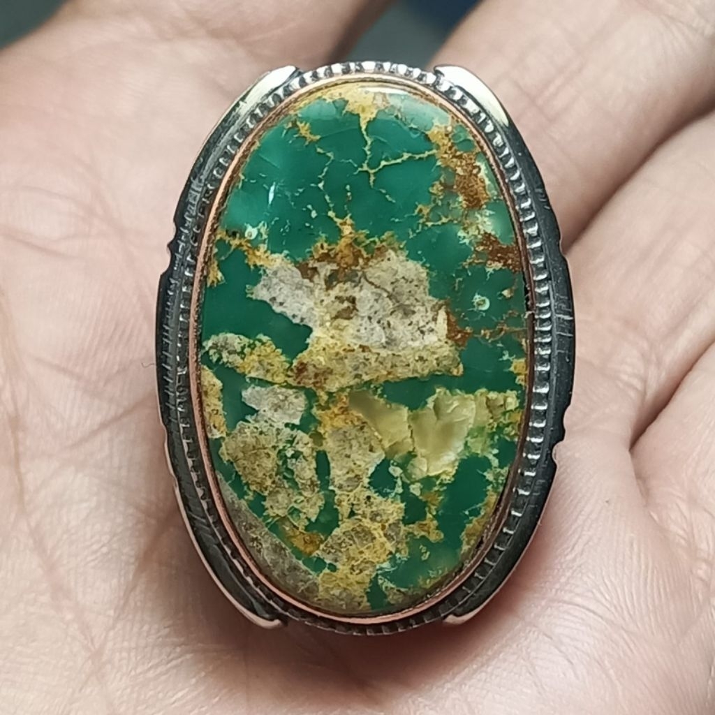 Pirus persia ijo kedondong urat mas