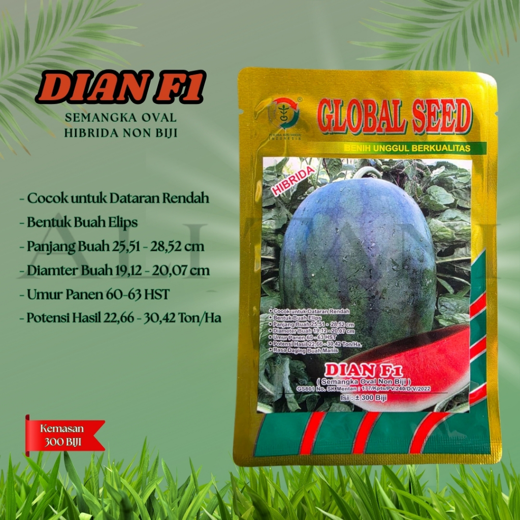 DIAN F1 Bibit/Benih Semangka Non Biji Oval Isi 300 Biji Cap Global Seed
