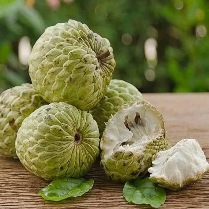 Buah Srikaya Jumbo Manis 1kg