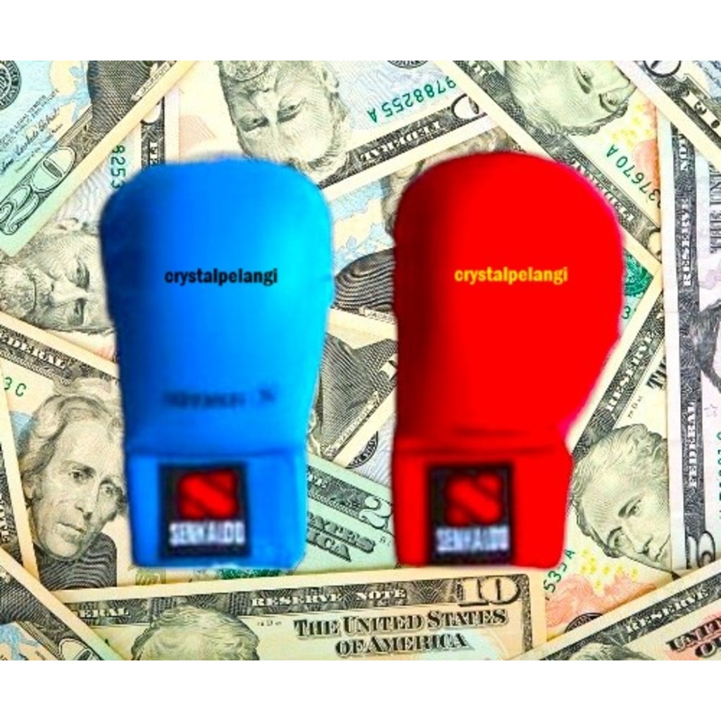 Hand Protector Karate/Gloves Karate