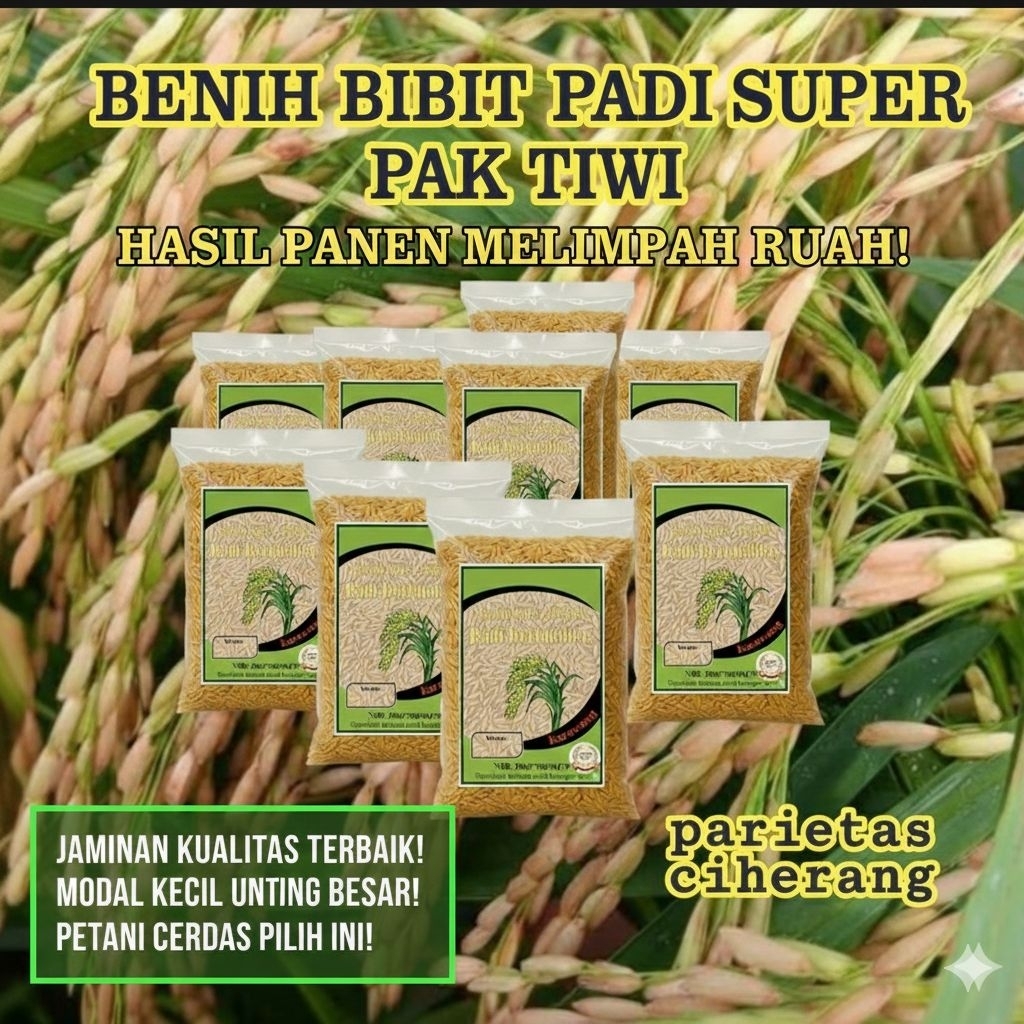 Benih bibit padi Ciherang pak tiwi super 5 kg