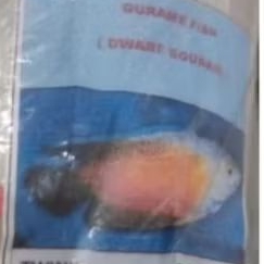 Jaring Tasi pukat tasi senar Gurame 1 1/2 × 15