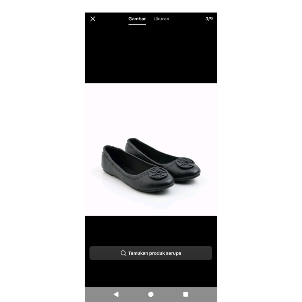 urban n co kenji new