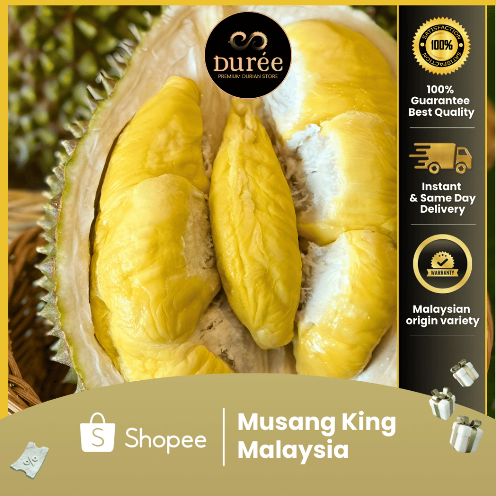 Durian Musang King Utuh Grade A | Fresh Chilled Premium