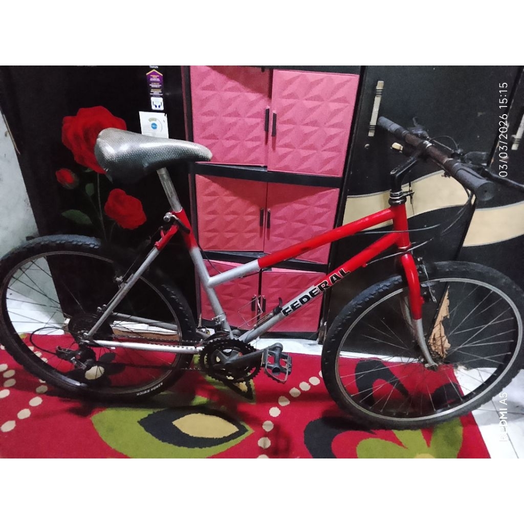 federal lady original size 20