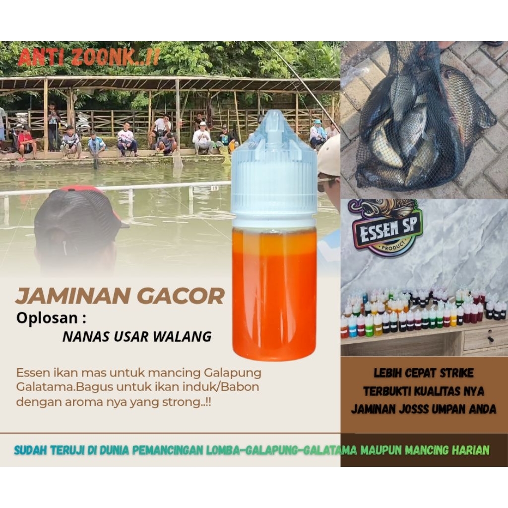 Essen ikan mas dan patin Galatama/rilis.media Aci/cenil bagus untuk induk/babon.Oplosan NANAS USAR W