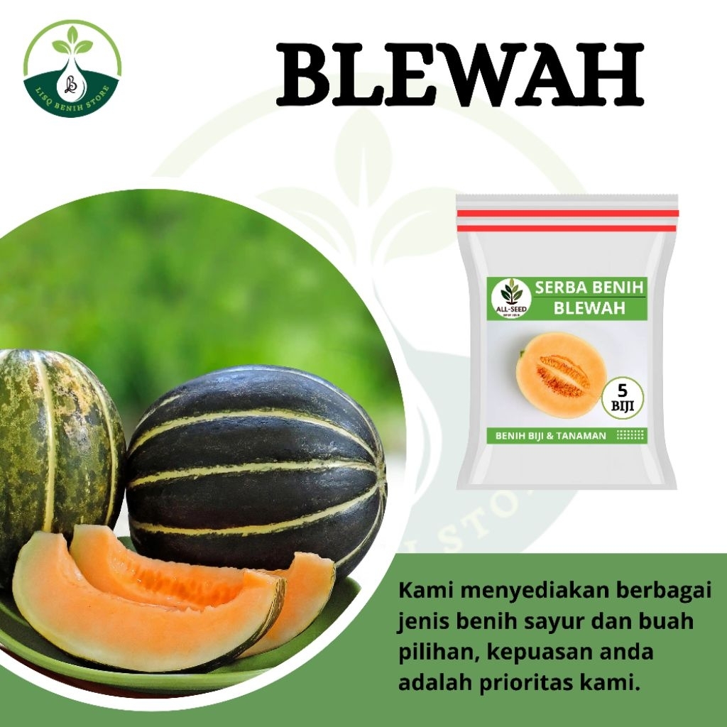 { 5 BIJI } Benih blewah madu / bibit blewah